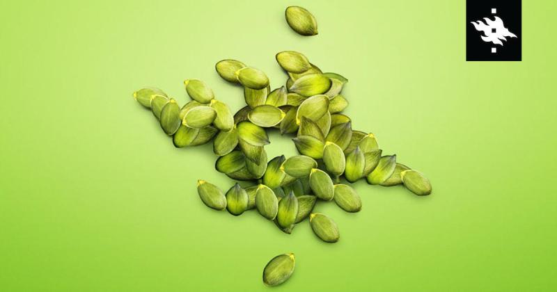 Helseed banner with the University of Helsinki logo