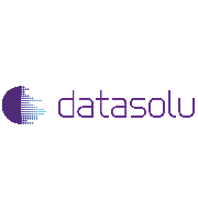 DataSolu logo